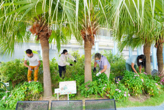 义工每月会到蝴蝶园清理杂草枯花，改善蝴蝶及植物栖息地。