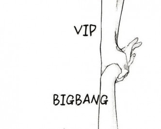 VIP以圖支持BigBang