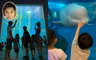 林志颖一家五口游海洋博物馆，小朋友见到小白鲸好开心。