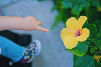 芯悅小手仔指住花花。