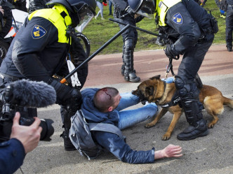 有示威者因拒绝离开示威现场，结果被多只警犬咬伤。AP图片