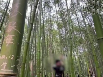 逾百游客在竹子上刻字。
