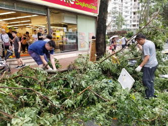 劉國勳(藍衣)今早與一班熱心的義工市民，落區自發清理樹木。劉國勳facebook