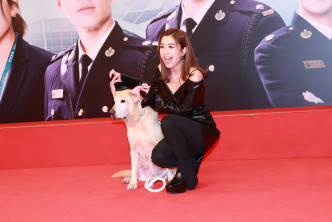 剧中的爱犬也有出席宣传活动。