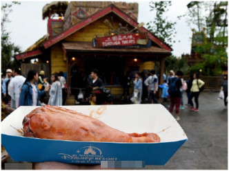 上海迪士尼要進行「搜袋」行爲才可進入園內備受爭議。網圖