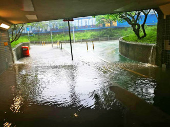 大埔行人隧道水浸。網民Manley Lau‎圖片