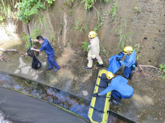消防員與愛護動物協會職員走落引水道拯救。梁國峰攝