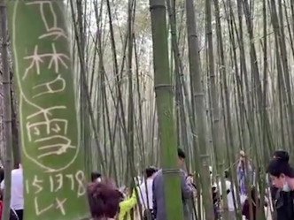 逾百游客在竹子上刻字。