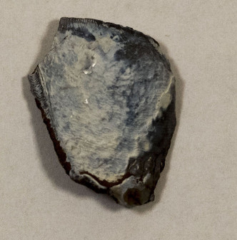 由「激光盗龙」无人机系统发现的2厘米阔哺乳类牙齿化石。图片提供：Thomas G Kaye和文嘉棋。