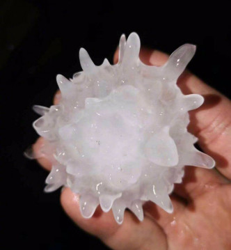 網民發現冰雹形狀竟有如「新冠病毒」。 網圖