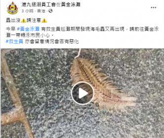 港九拯溺员工会FB截图