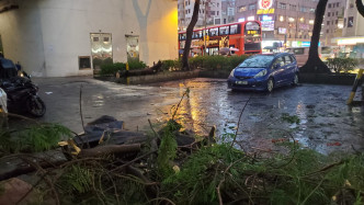 荃湾有大树倒塌击中停泊私家车。