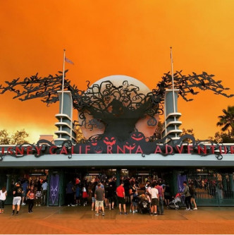 迪士尼乐园强调无需关闭。网上图片