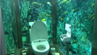 水族馆厕所里面的鱼数量粗略估计约有300多只。twitter
