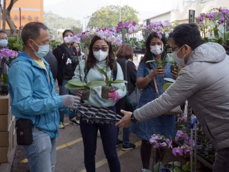 花墟買花市民要在人群穿插。