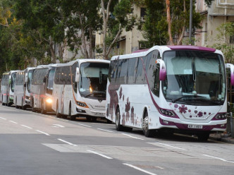 不少旅行团在土瓜湾及九龙城码头附近用膳及购物。