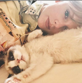Taylor在社交网大晒靓猫照。网图