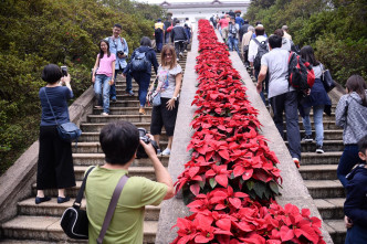 市民在禮賓府內觀賞花卉樹木。