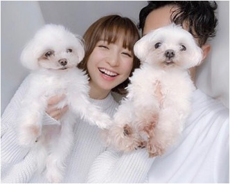 筱田麻里子用爱犬遮住老公个样。网图