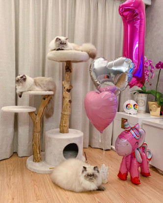 为Rikka打造浪漫的粉红生日party。