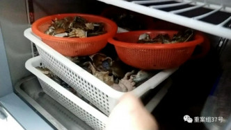 餐廳使用隔夜死蟹當活蟹出售。網上圖片