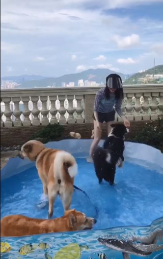 林夏薇會帶愛犬上頂樓玩水放電。