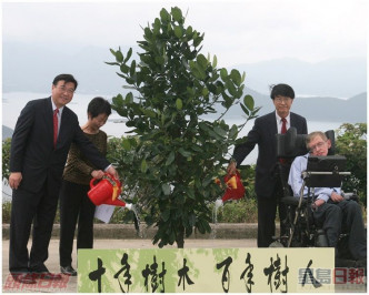 霍金在科大校園種植了「福木」。資料圖片