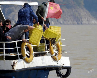 活魚用船運到松花湖遠處的深水中放生。