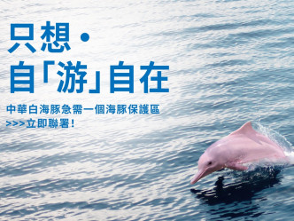 WWF呼吁大众出一分力，携手守护中华白海豚。WWF图片