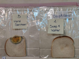 使用酒精搓手液的面包居然都产生细菌发霉；只有用肥皂洗手摸过的才能幸免。网图