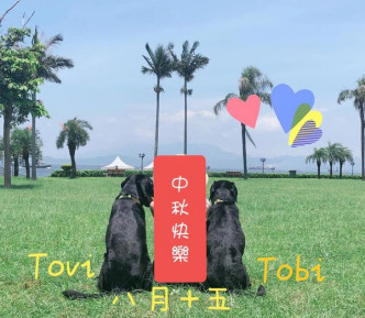 Tovi和兄弟Tobi。香港導盲犬服務中心 (HKSEDS)FB