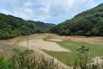 流水响水塘严重乾涸龟裂