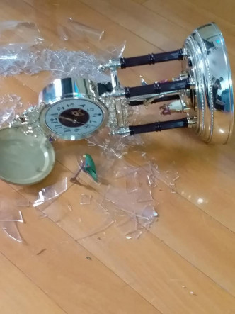 網民飼養的貓打破珍藏30年的鐘。網民Rita Ng圖片