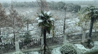上海少有地在12月大雪纷飞。网上图片