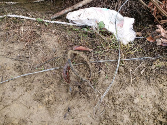 上麻雀嶺村發現有捕獸器及繩索。 愛護動物協會提供