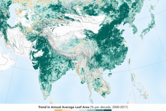研究指地球變得更加「綠色」，最大的貢獻者是中國和印度。