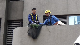 消防員及愛護動物協會人員拯救