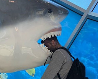 碧咸被鯊魚咬頭。Instagram