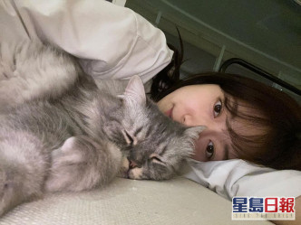 朴信惠愛貓。