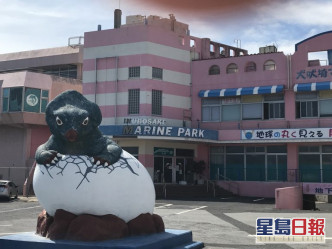 千叶县的一个无良水族馆。Dolphin Project图
