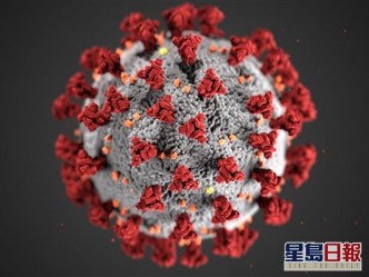 研究报告变种的新冠病毒传播力更强。网图