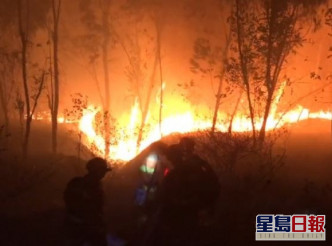 西昌市爆发森林山火。网图
