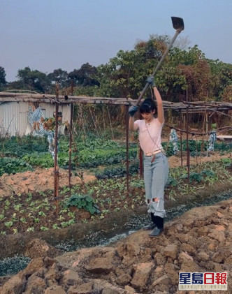 袁澧林上月也分享過去農場耕作的片段。