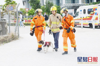 消防使用生命探測器及消防搜索犬協助搜救。