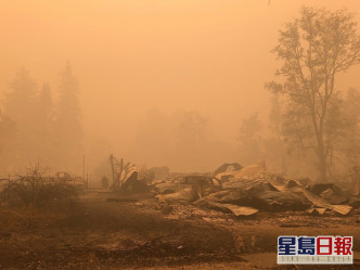至今山火已燒毀近200萬公頃面積的林木。AP