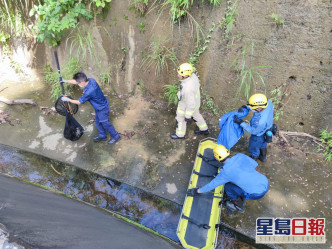 消防員與愛護動物協會職員走落引水道拯救。梁國峰攝