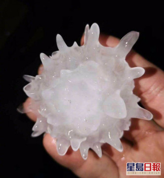 網民發現冰雹形狀竟有如「新冠病毒」。 網圖