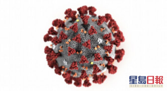 新冠病毒模型圖。 網圖