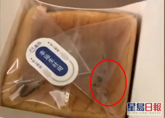 多士包装袋中留有疑似老鼠粪(红圈)。影片截图
