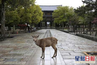奈良東大寺、藥師寺、興福寺與唐招提寺等主要景點，周一起重新開放遊客入內參觀。資料圖片